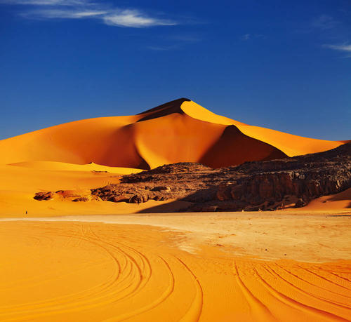 未来的撒哈拉沙漠
