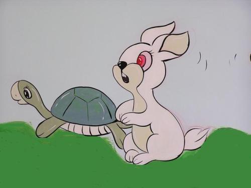 乌龟和野兔的第二场比赛