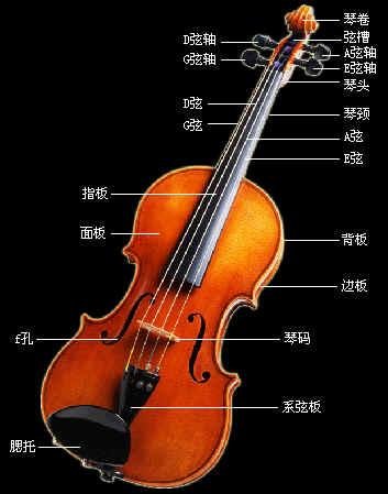 我和小提琴约会