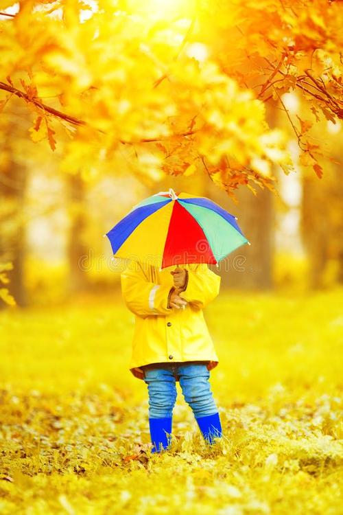 秋天的雨伞