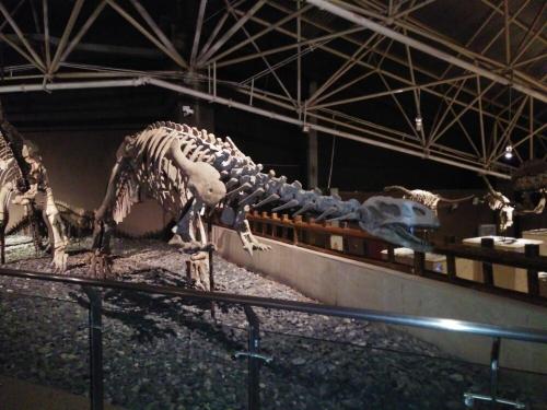 冬季之旅恐龙博物馆