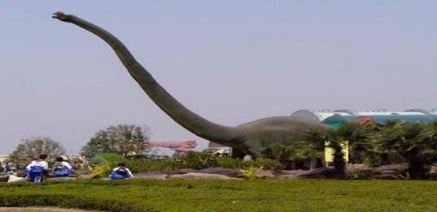 常州恐龙公园一日游
