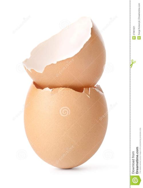 蛋壳的启示