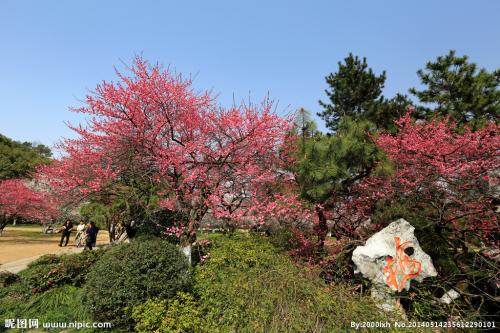 杭州植物园秋季之旅