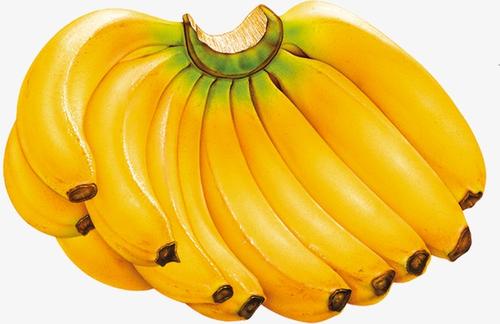 我最喜欢的水果香蕉