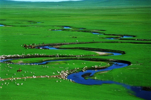 游览内蒙古草原