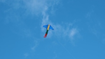 龙形风筝飞得很高