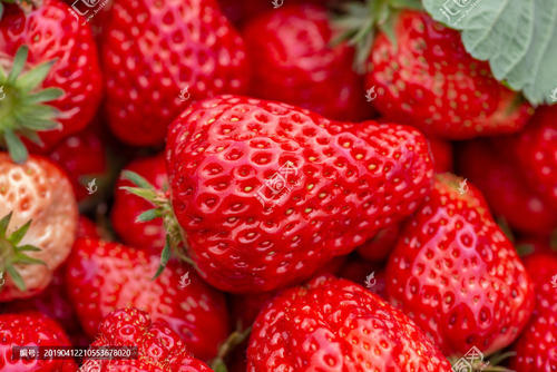 鲜红色的草莓