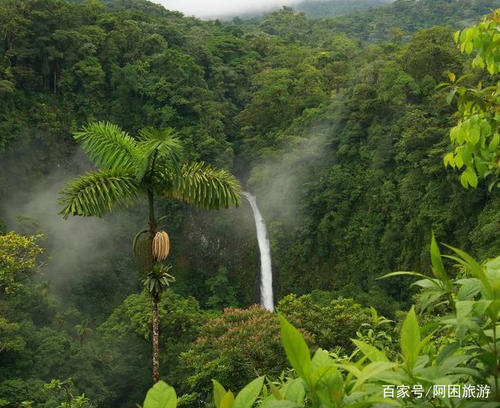 亚马逊雨林中的梦幻乐园冒险