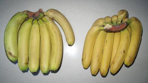 买香蕉