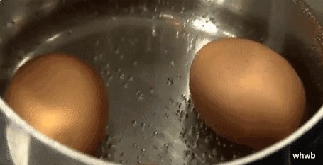 生石灰煮鸡蛋