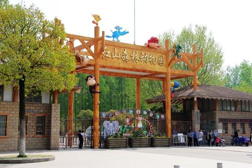 参观南京红山森林动物园