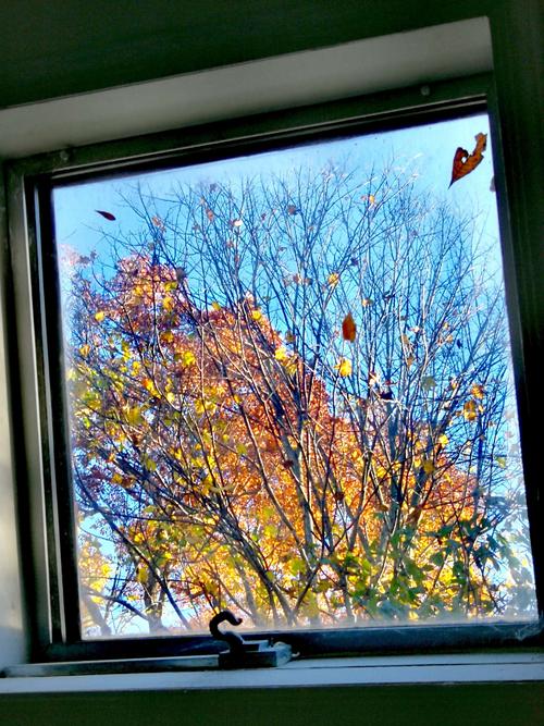 窗外的秋天