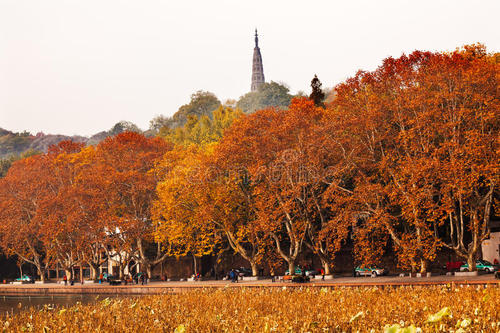 杭州的秋天
