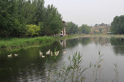 升溪湖公园