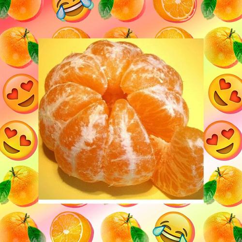 舌尖上的美味橙子