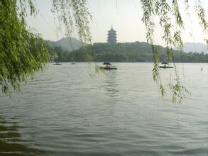 杭州，我的故乡