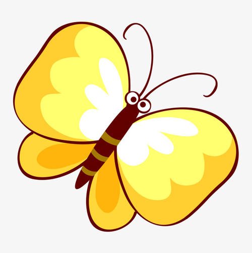 美丽的“黄色蝴蝶”