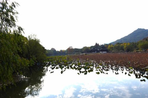 风景如画的湘湖