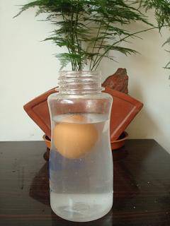 鸡蛋浮动实验