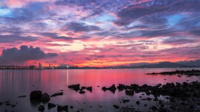 观看深圳湾的日出