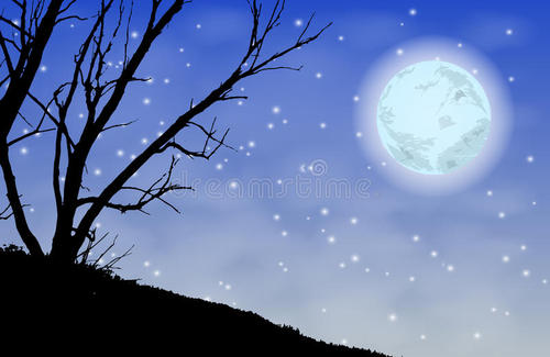 夜间与月亮