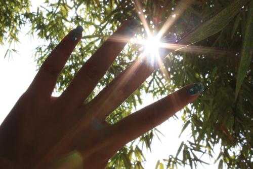 阳光穿过手指