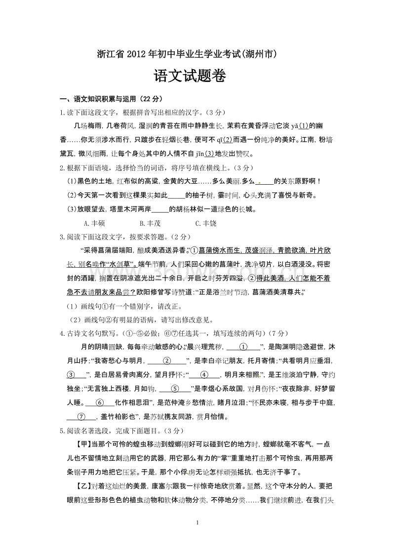 2009年，浙江湖州市考试语言构成标题“难忘的脸”