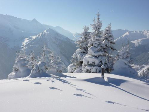 雪景上的构图：美丽的雪景_1500字