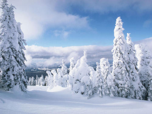 在雪景上的构图：冬天的雪景_600字