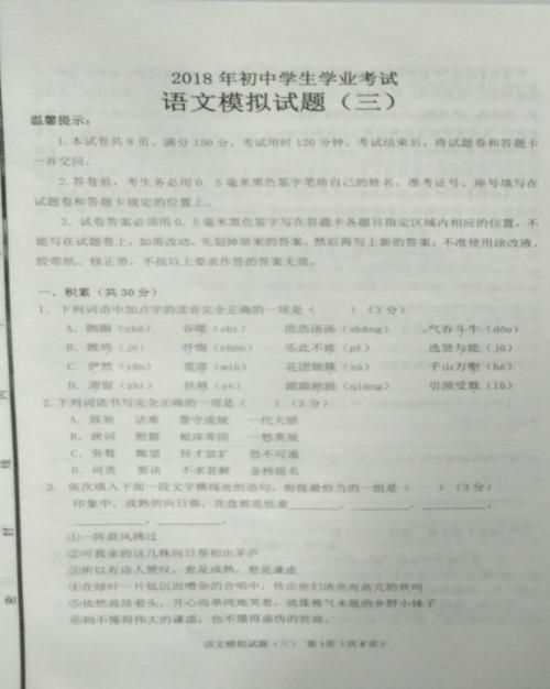2011滨州中考语文试题（含答案）
