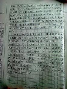 2014滨州高级考试成分写作技巧：直接描述