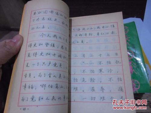 一年级日记：练习字符帖_100字
