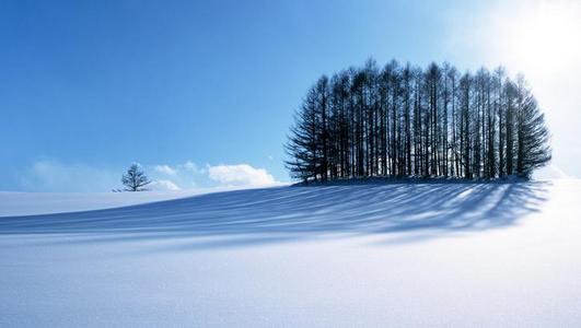 雪景上的构图：冬天·雪景_700字