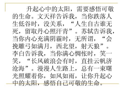 2011年，山东潍坊考试问题：我心中的阳光