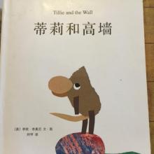 Tili的故事_350字
