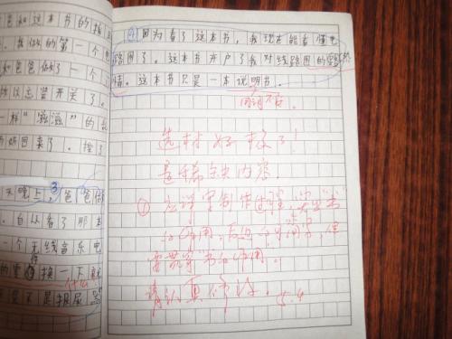 四年级日记：中国队长_650字