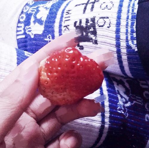 我喜欢吃草莓_250字