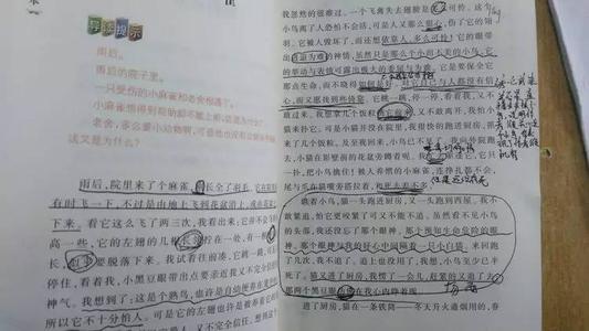 在北川地震发生后，学生日记：地震后，我担心我们看不懂这本书。