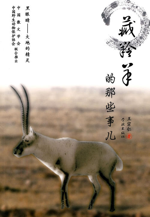 阅读“保存藏羚羊”_550字