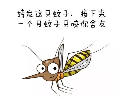 蚊子_350字