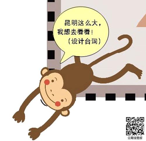 猴子注册_700字