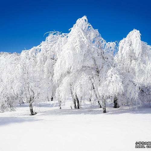 在雪景上的构图：在冬天融化雪_900字