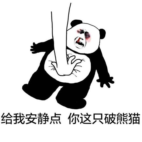 我的小熊猫_350字