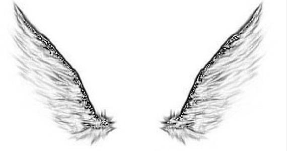 翅膀的天使_800字