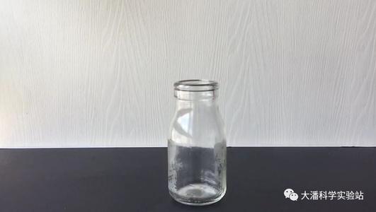 瓶子“燕子”蛋_550字
