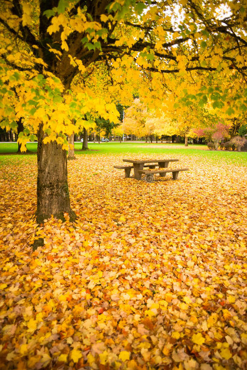 秋天在哪里，我们心中的秋天，每一个秋天，我们心中总是一个美丽的美丽。