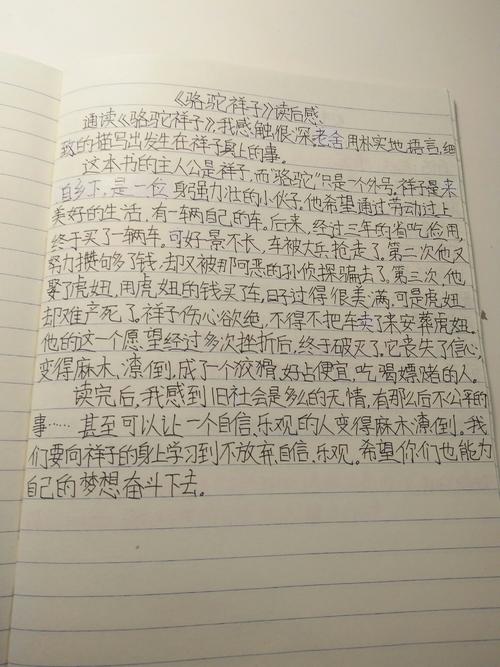 读完_750字后，“骆驼Xiangzi”