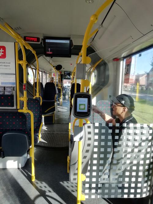 第一次，乘坐公共汽车_650字