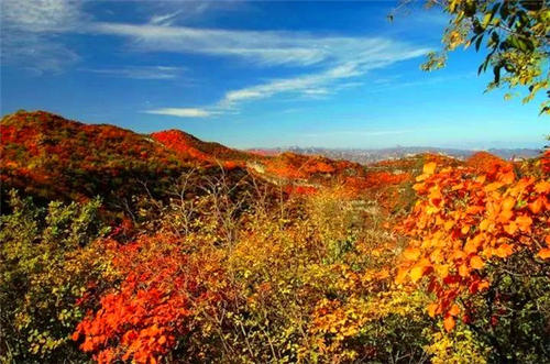 我喜欢红山山脊的秋天颜色_300字